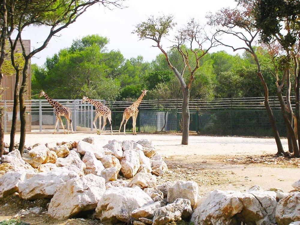 Best Western Le Guilhem 3*
